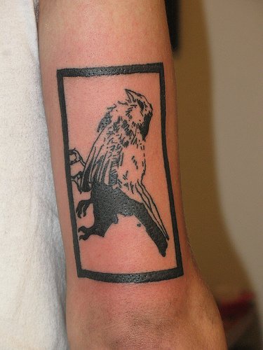 黑色的细致麻雀手臂纹身图案
