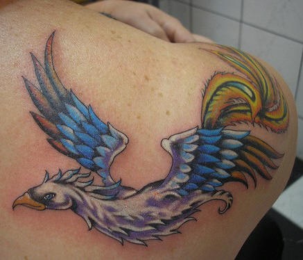 五颜六色的鸟肩部纹身图案
