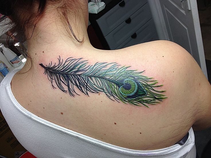 背部美丽的绿色孔雀羽毛纹身图案