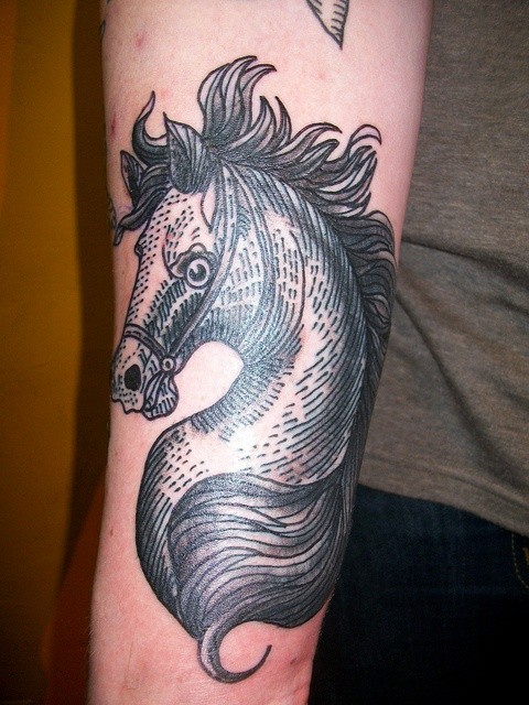 手臂上的黑色线条马纹身图案