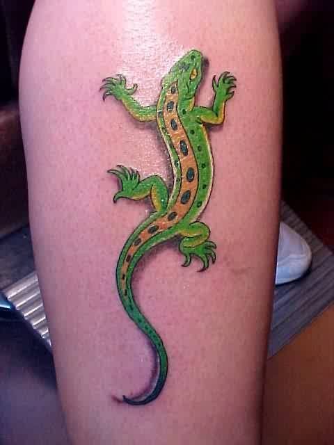 小腿美丽的蜥蜴绿色纹身图案