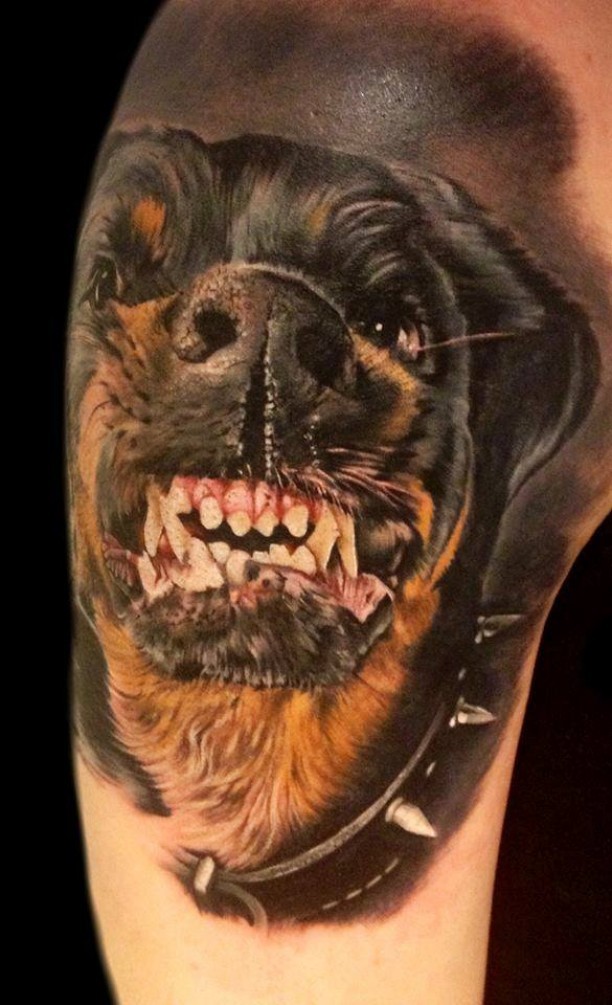 手臂愤怒的彩色罗威纳犬纹身图案