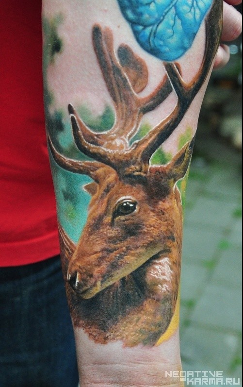 手臂非常详美丽的彩色逼真小鹿纹身图案
