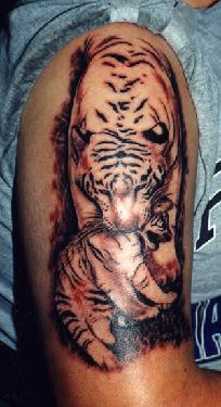 老虎与幼崽大臂纹身图案