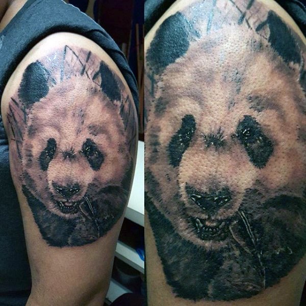 大臂黑灰风格可爱的贪吃熊猫纹身图案