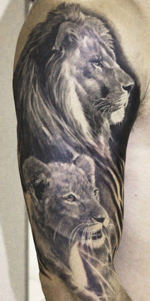 手臂美丽的黑灰狮子家庭纹身图案