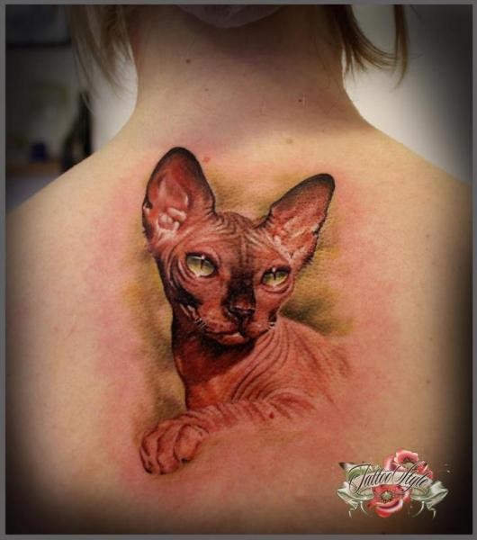背部写实逼真的彩色无毛猫纹身图案