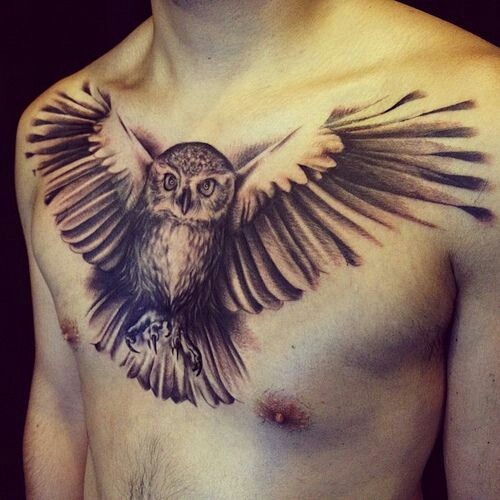 男性胸部猫头鹰黑灰纹身图案