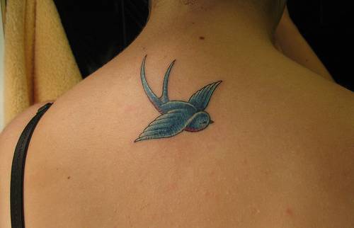 背部的蓝色小鸟纹身图案