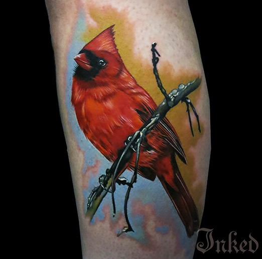 水彩可爱的红色小鸟纹身图案