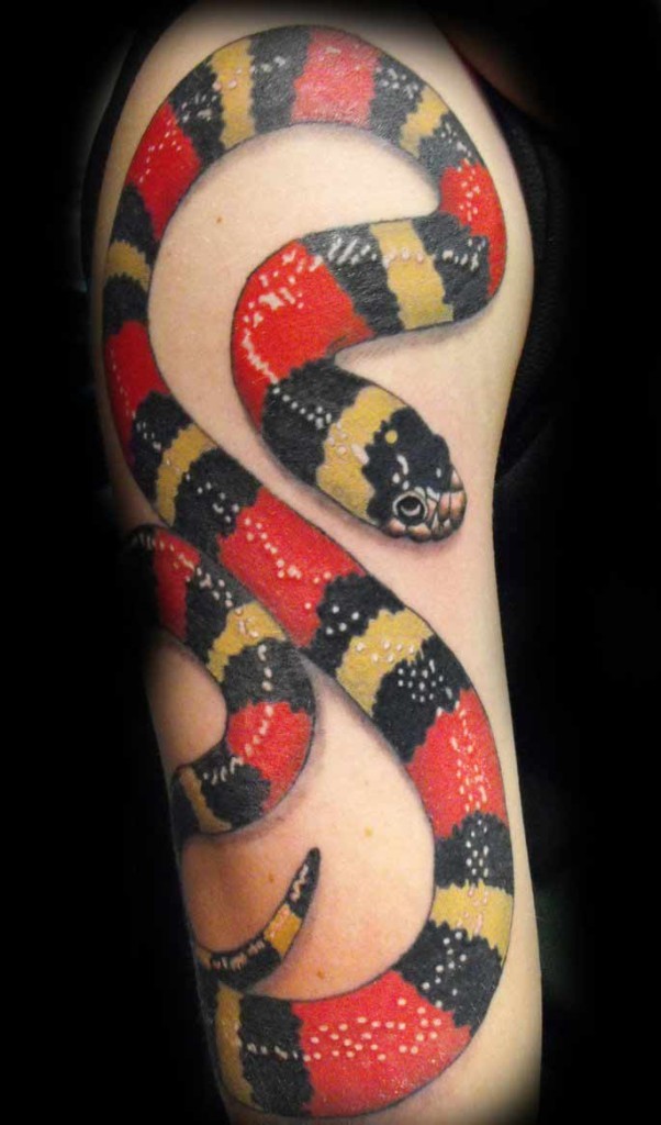 红色和黑色的3D蛇手臂纹身图案