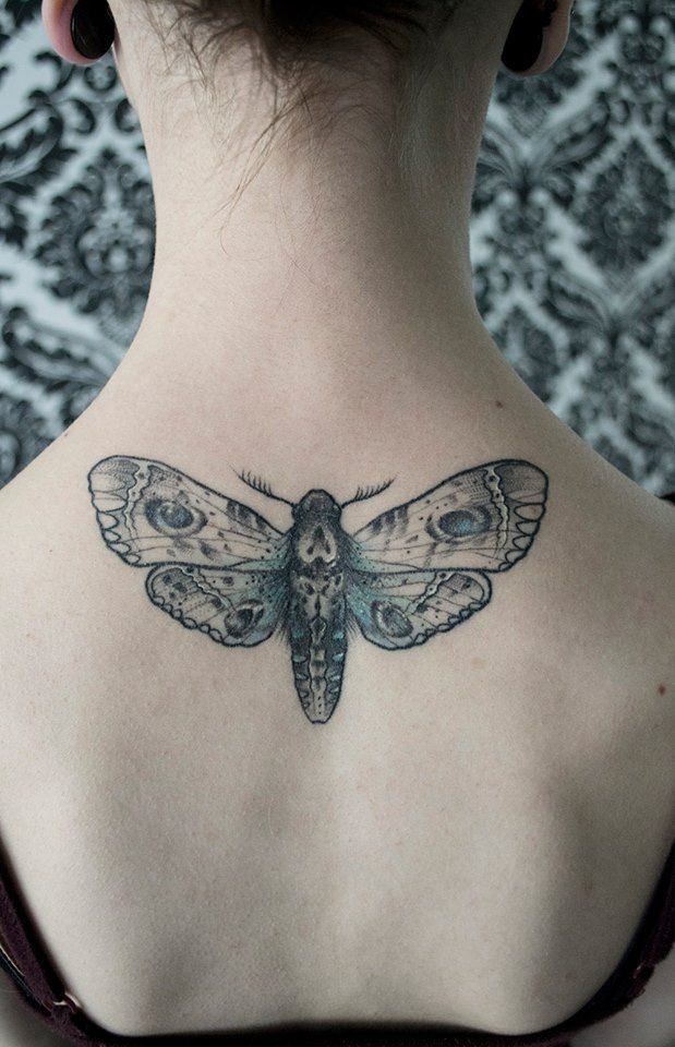 女生背部好看的飞蛾纹身图案