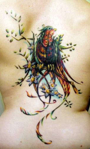 背部自然的彩色大鸟纹身图案