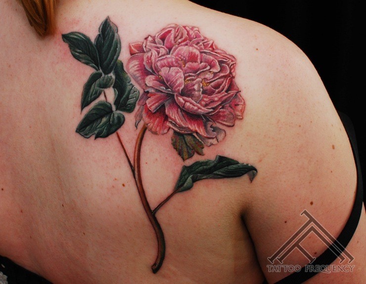 背部经典的彩绘绽放玫瑰花纹身图案