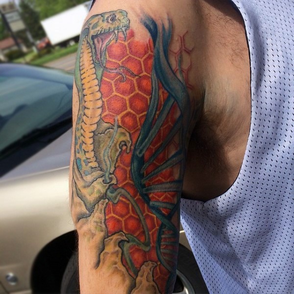 手臂华丽彩绘彩色蛇与DNA符号纹身图案