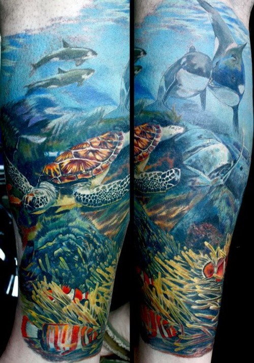 手臂上可爱逼真的彩色海洋纹身图案