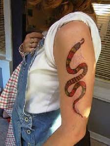 手臂上的彩色小蛇纹身图案