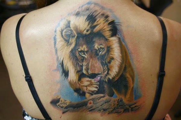 背部插画风格彩色写实的狮子纹身图案