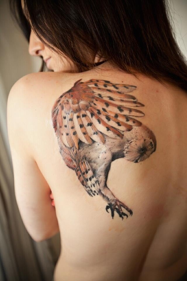 背部彩绘猫头鹰狩猎纹身图案