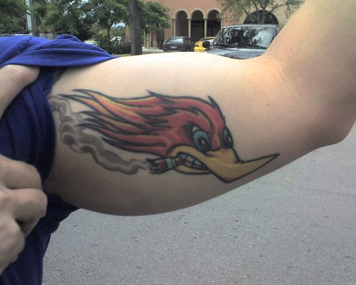 大臂内侧卷烟的鸟头彩色纹身图案