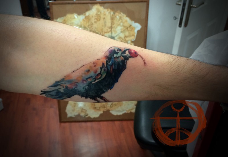 手臂一只彩绘的小鸟和浆果纹身图案