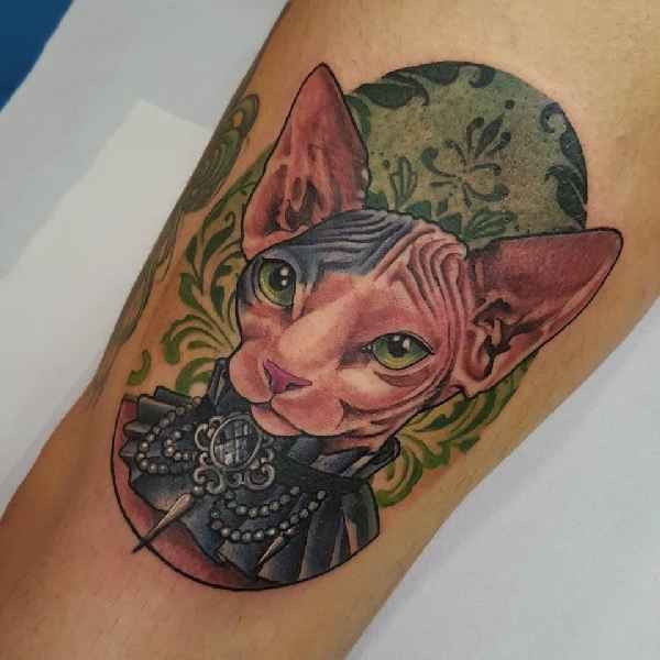 彩色的无毛猫与饰品纹身图案