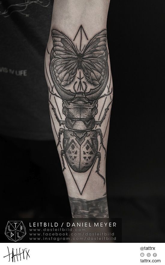 手臂难以置信的黑灰甲虫与蝴蝶纹身图案