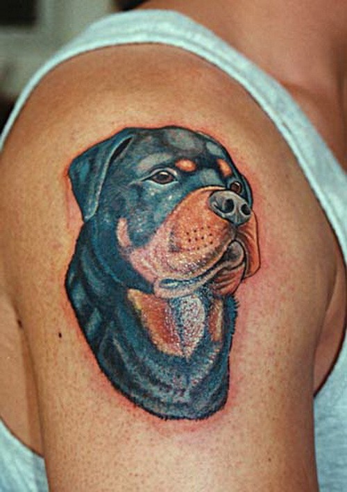 大臂漂亮的彩色罗威纳犬纹身图案