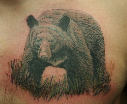胸部黑灰的大熊纹身图案