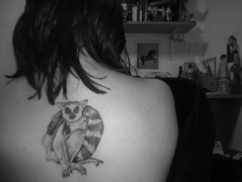 可爱的黑灰狐猴背部纹身图案