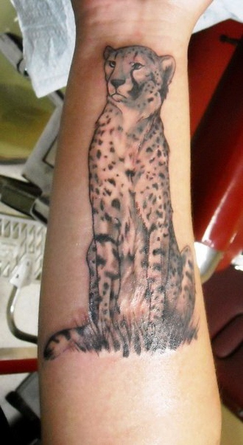 手臂猎豹坐在草地上彩绘纹身图案