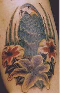 蓝色的鹦鹉和花朵纹身图案