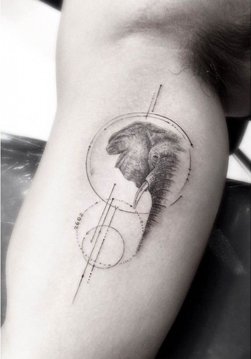 手臂科学风格的黑色圈与大象纹身图案