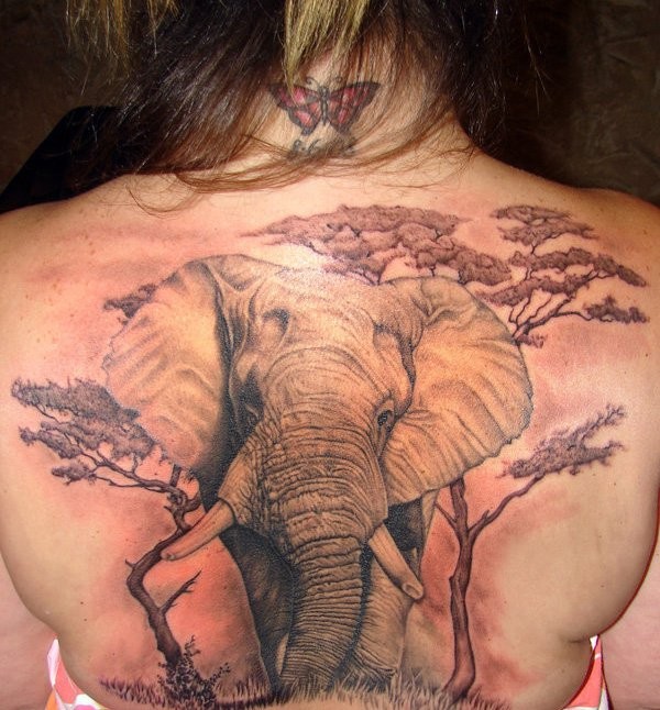 背部非常写实的彩色大象与树木纹身图案