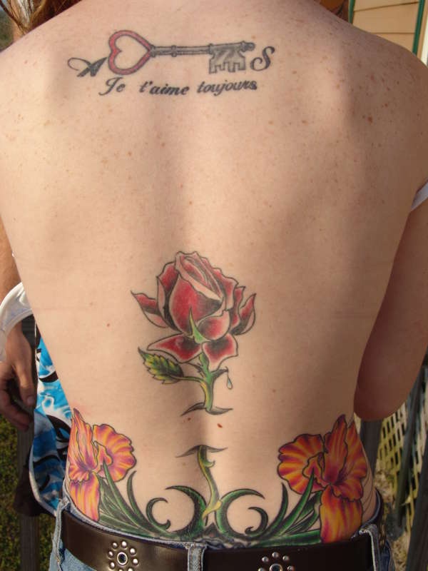 背部美丽的玫瑰花卉彩色纹身图案