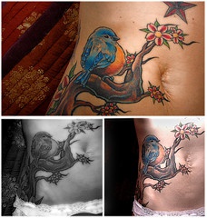 腹部彩色的花枝与蓝色鸟纹身图案