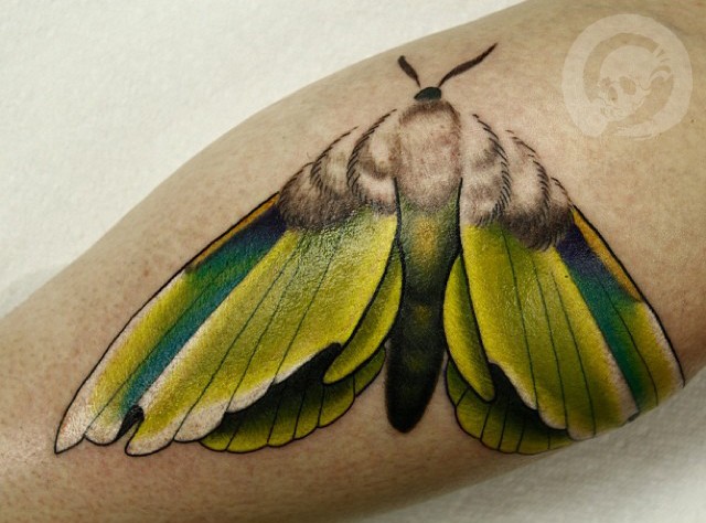小腿美丽的彩色蝴蝶纹身图案