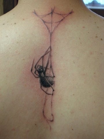 背部蜘蛛织网个性纹身图案