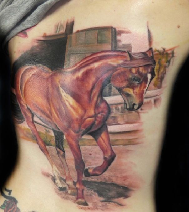 背部好看的彩色美丽马纹身图案