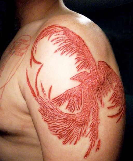 大臂美丽的凤凰皮肤割肉纹身图案