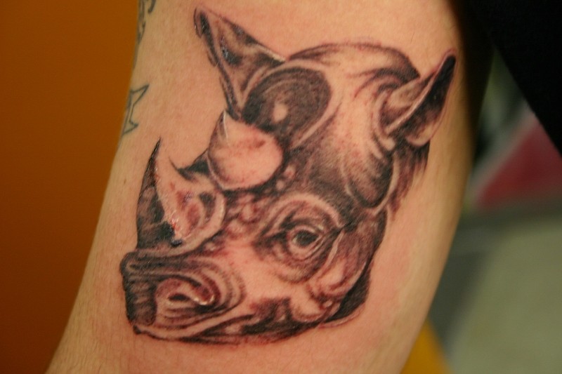 男性手臂上的黑灰犀牛纹身图案