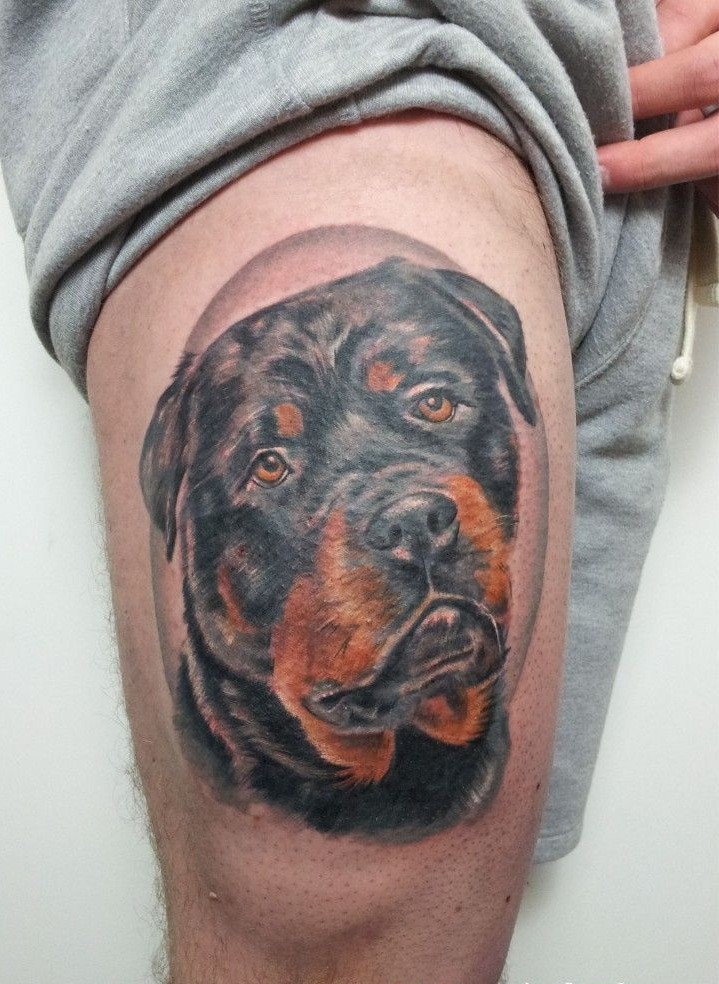 大腿美丽多彩的罗威纳犬头纹身图案