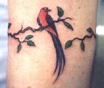 野生丛林鸟和树枝纹身图案