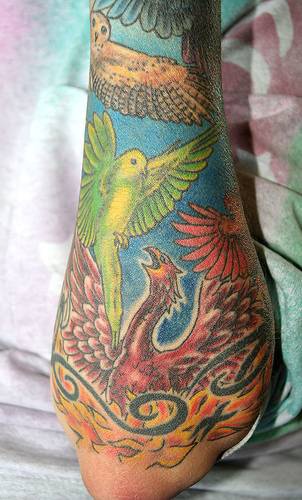 手臂多彩的各种小鸟纹身图案