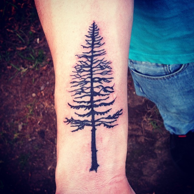 小臂黑色的松树纹身图案