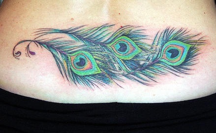 腰部三支美丽的孔雀羽毛纹身图案