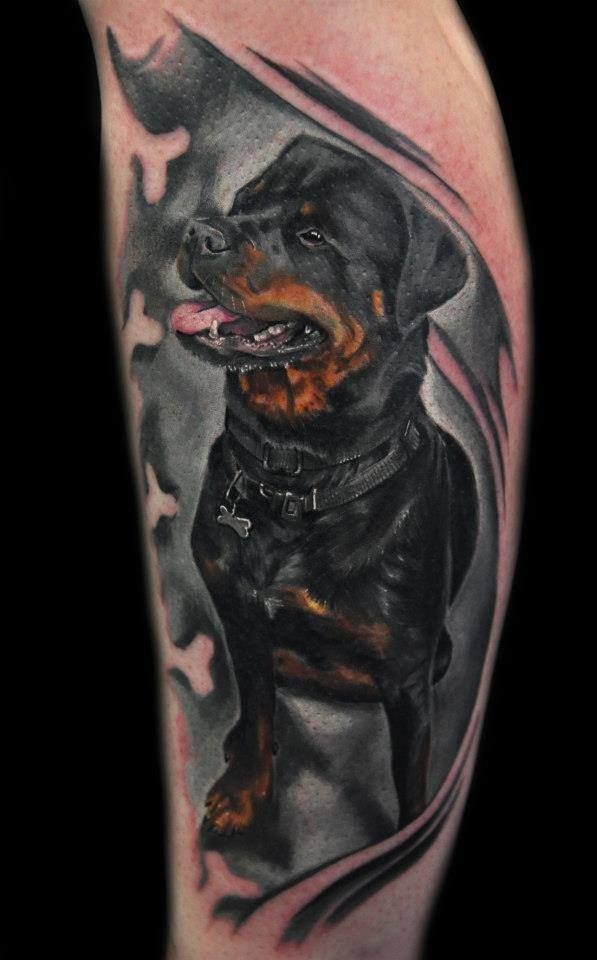 手臂五颜六色的一只罗威纳犬纹身图案