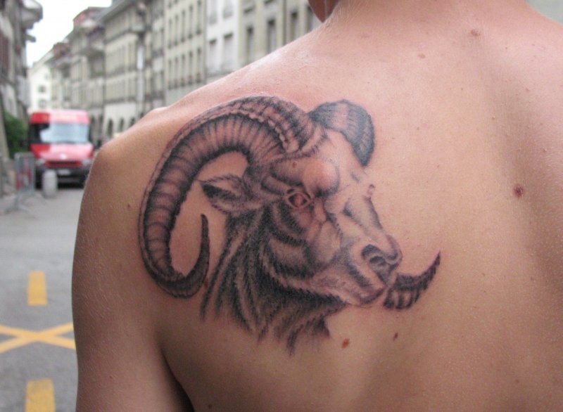 背部漂亮的水墨公羊头像纹身图案