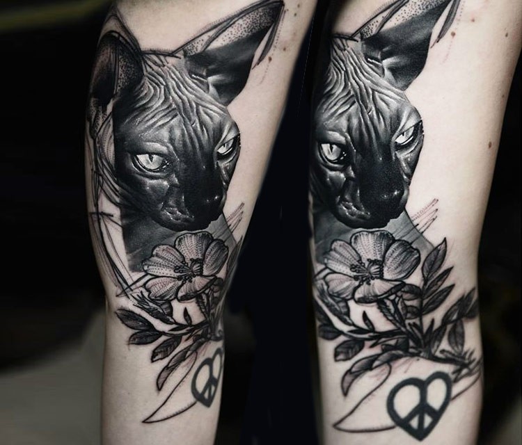 手臂栩栩如生的黑色无毛猫与花朵纹身图案