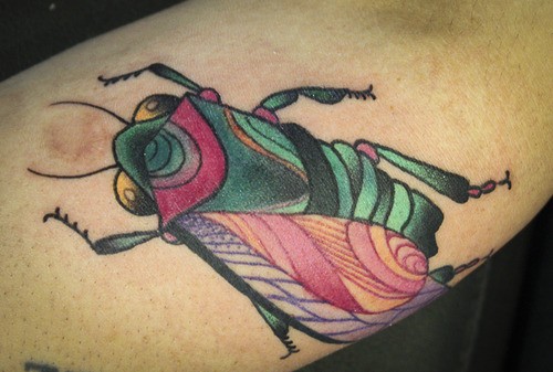 手臂上生动色彩的昆虫纹身图案